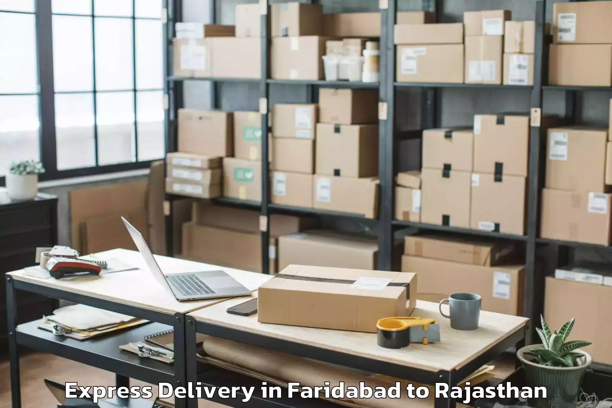 Professional Faridabad to Pushkar Express Delivery